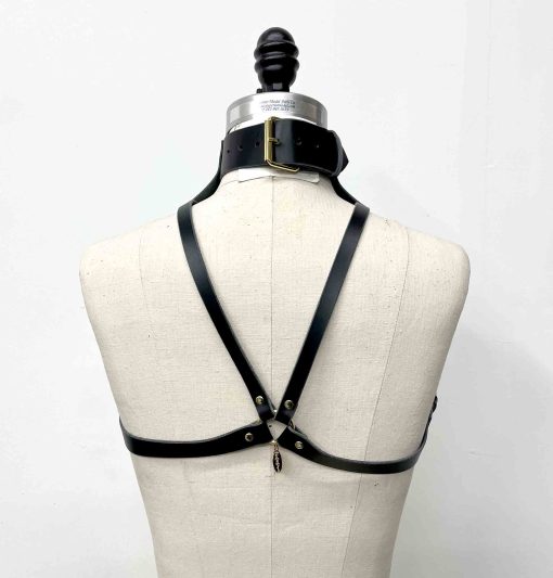 posture collar harness